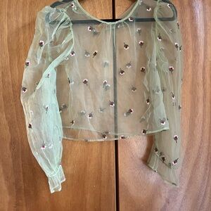 Zara Sheer Floral Embroidered Blouse - Light Green